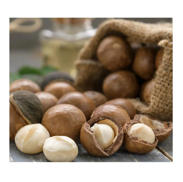 Organic Roasted Macadamia Nuts Factory Price Wholesale Raw Dried Food Macadamia Nuts - Image 5