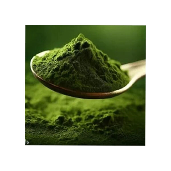 Super Quality Latest Brand New Product Natural Green Vegetable Spinach Powder Available at Affordable Price - Image 5
