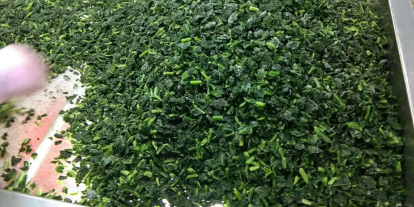 IQF Frozen Spinach Chopped Cuts 10x10mm BRC a Frozen Vegetables IQF - Image 5