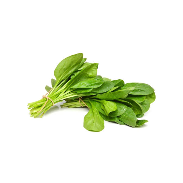 Fresh Malabar Spinach  Fresh Vegetable From SA Fast Delivery and Carefully Pure Natural Organic Spinach - Image 5