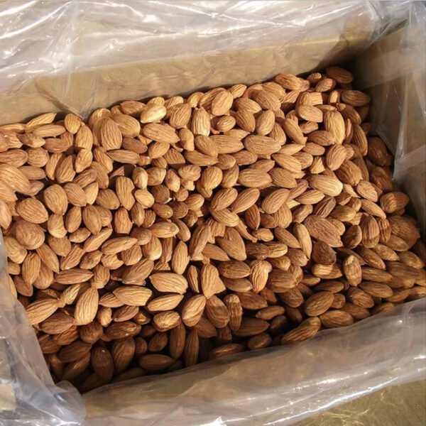Cheap Almond Nuts Almond Kernel Almond Wholesale Price - Image 5