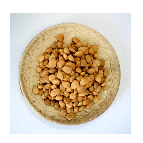 Cheap Price Premium Almond Nuts Almond Kernel Sweet Almond - Image 5