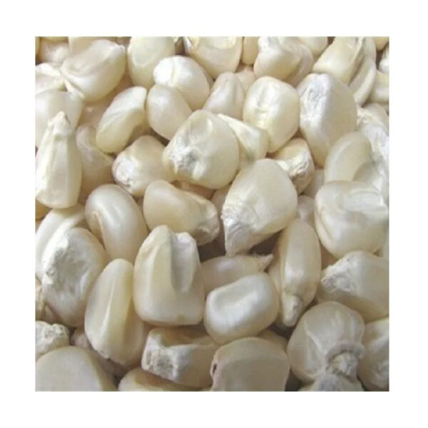Wholesale Fresh Yellow Corn White Corn Bulk Dried Corn - Image 5