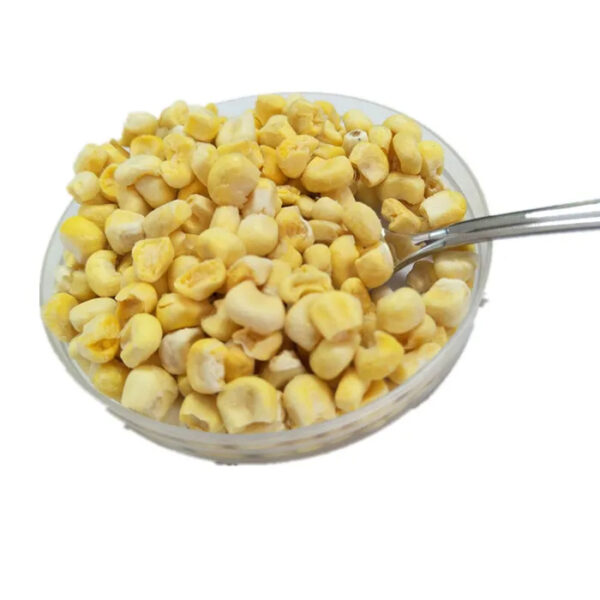 Best Flavour Kenya Freeze Sweet Corn Yellow Color - Image 5