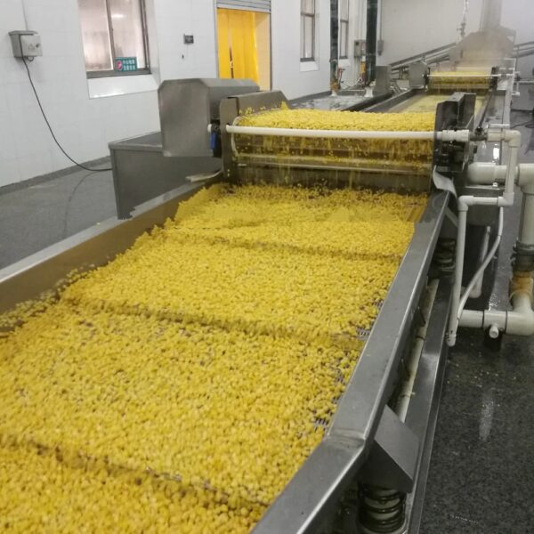 HACCP Kenyan Frozen Products Good Price Hot Sale IQF Frozen Yellow Sweet Corn - Image 5