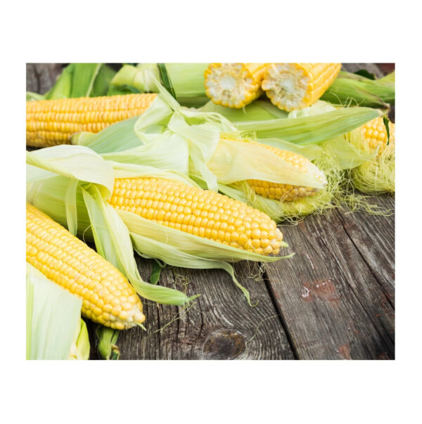 Kenya Bulk Yellow Corn for Human Consumption - Image 6
