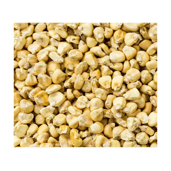 Wholesale High Quality Standard Grade GMO Yellow Corn Maize for Human Consumption Yellow Maize Corn For Russia Animal feed gr - Image 6
