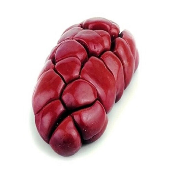 Frozen Beef Heart Kidney - Image 6