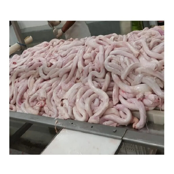 Factory Supply Wholesale Price Frozen Beef Pizzle  Halal Boneless Beef Meat Available for Sale - Image 6