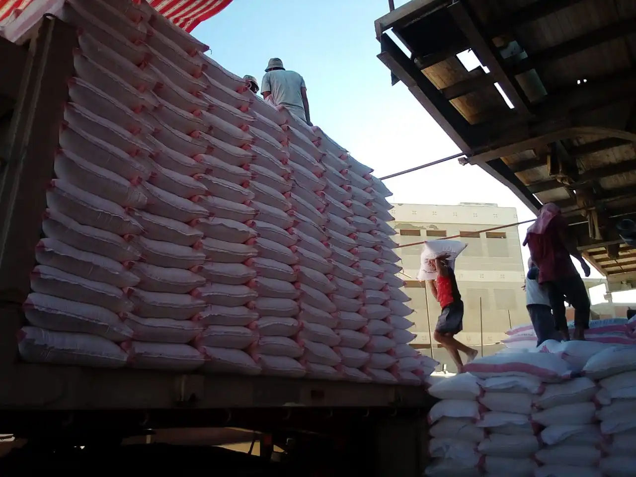 50KG Bakery Wheat Flour High Gluten ISO & HALAL Certified Bulk Supply from Egypt - Image 5