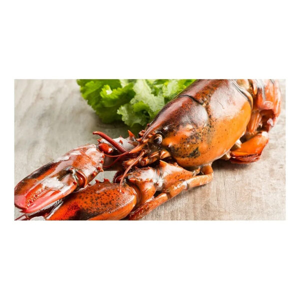Fresh Cheapest Live Canadian Lobsters Frozen Lobster Tails - Image 6