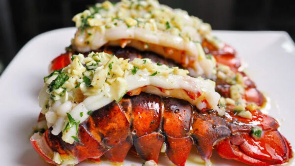 Premium Fresh and Frozen Seafood Lobster Tails Live Crawfish and Lobsters in Boxes for Sale - Image 6