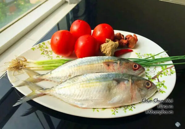 Frozen Sea Fish Indian Mackerel Whole Round Size 4/6 6/8 8/10 From Atlantic and Pacific Oceans - Image 6