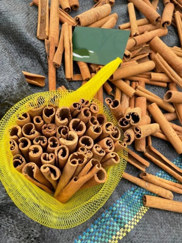 Wholesale Price Cinnamon Sticks Superior Quality New Harvest Rich in Flavour Bulk Packaging Free Sample - Image 7