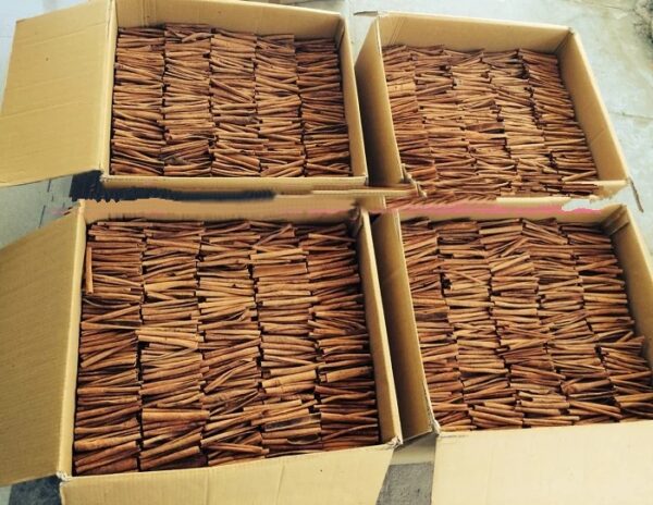 Best Price Herbs and Spices Ceylon Cinnamon Stick/ Stick Cassia for Export in Bulk - Image 6