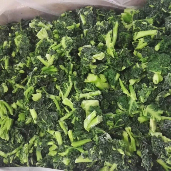 Hot Selling Bulk IQF Frozen Chopped Spinach Cubes Freezing Process BQF IQF Frozen Vegetables - Image 6