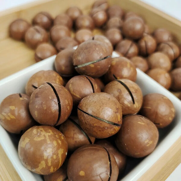 Good Supplier Dried Macadamia Nuts - Image 6