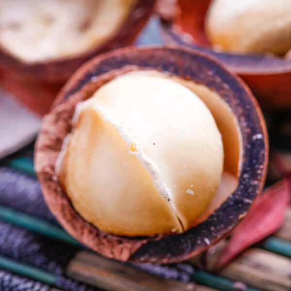 Hot Selling High Quality Cheap Price Roasted Macadamia Nuts From Kenya - Image 6