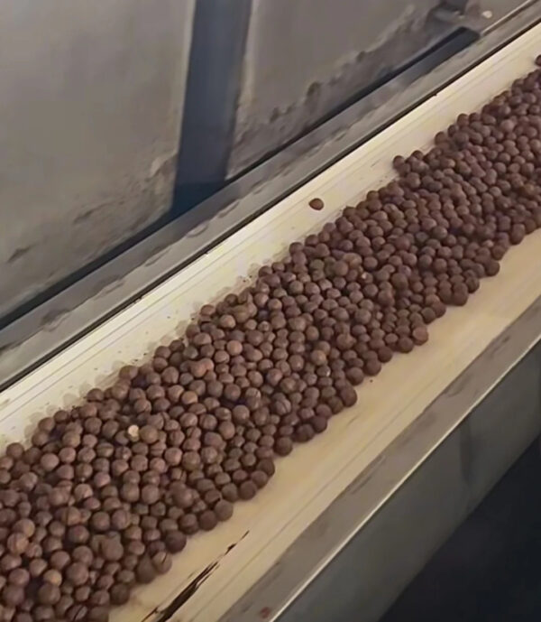 Hot Selling Big Size Macadamia Nuts From China Exporter Macadamia Nuts International Standard Delicious Taste - Image 5