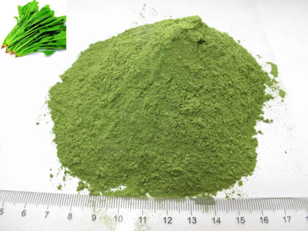 For Fast Food Dried Dehydrated Spinach Leaves Flakes Powder - Image 6