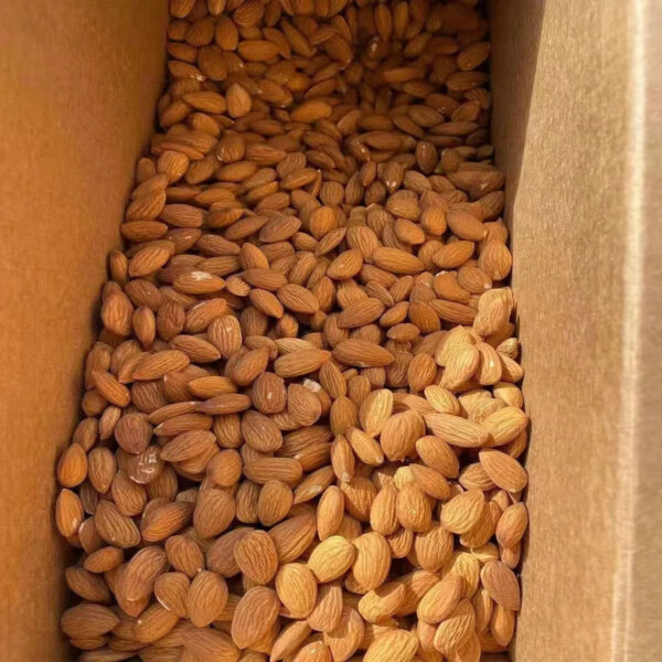 Cheap Almond Nuts Almond Kernel Almond Wholesale Price - Image 6