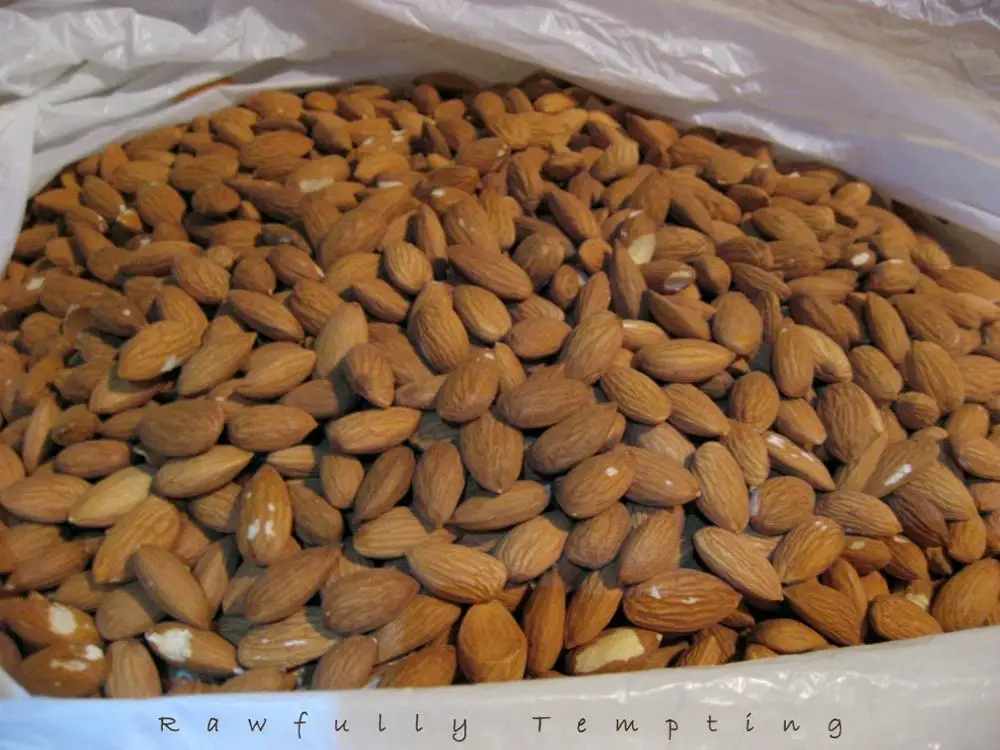 GOOD Sweet California Almonds Available Raw Almonds Nuts and Delicious and Healthy Raw Almonds Nuts - Image 6