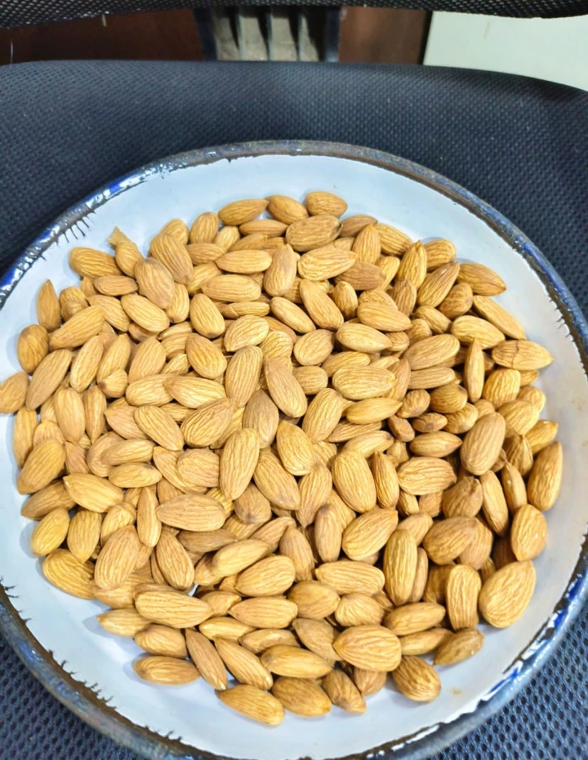 Excellent Quality Jumbo Almonds Kernels Fresh Stock Big Size Almonds Almond Kenya Origin California Available Wholesale Export - Image 6