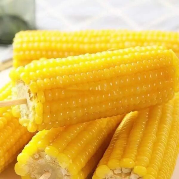 Direct Wholesale Good Quality Frozen Yellow Corn on Cob Fresh Sweet Corn-IQF Processed - Image 5