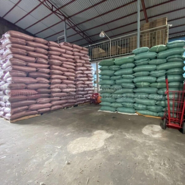Wholesale Sweet Corn Seed from Kenya Yellow Corn Seeds for Export - Image 6