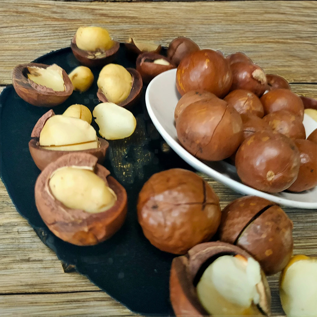 Organic Roasted Macadamia Nuts Raw Dried Snacks for Food Use