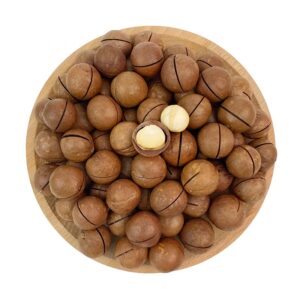 Wholesale Prices 22mm+ Macadamia Nuts Roasted and Dried Snack Food High Quality with Competitive Price.