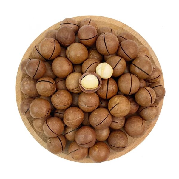 Wholesale Prices 22mm+ Macadamia Nuts Roasted and Dried Snack Food High Quality with Competitive Price.