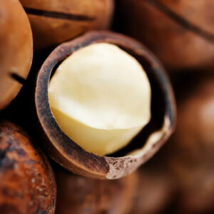 Wholesale Macadamia Nuts High Quality Macadamia Nuts From Vietnam Competitive Price Macca