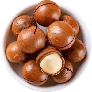 Wholesale Macadamia Nuts Salted and Creamy in Shell Creamy or Vanilla Flavors 20-25mm