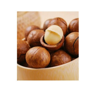 Cheap and Competitive Price Macadamia Nuts in Shell Kernels/Organic Macadamia