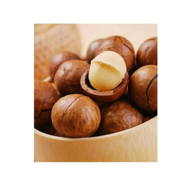 Cheap and Competitive Price Macadamia Nuts in Shell Kernels/Organic Macadamia