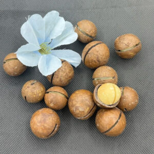 Wholesale High Quality Sweet Dried Fruit Milky Vanilla Flavored Dried Macadamia Nuts