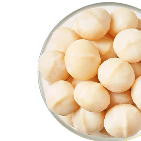 China Manufacturers Exporters Wholesale Cheap Price Bulk Roasted Macadamia Nuts Snacks for Sale