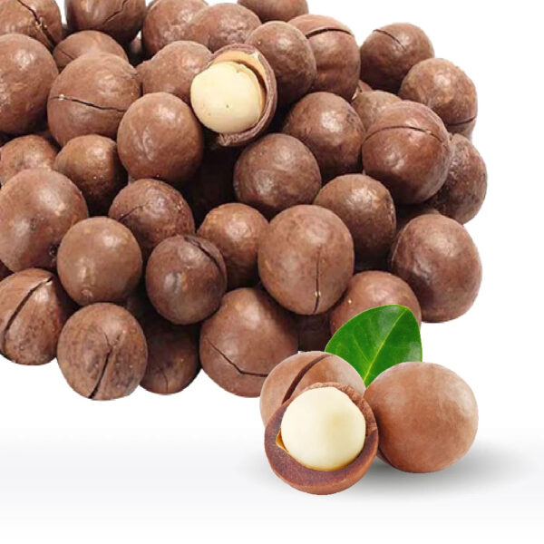Macadamia Nuts