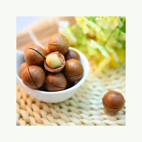100% Natural Dried Macadamia Nuts Healthy Product High Quality Macadamia Nuts From Vietnam