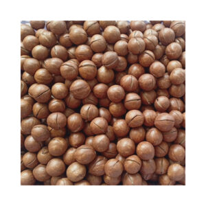 100% Natural Premium Quality Dried Roasted Macadamia Nuts With High Quality From Vietnam