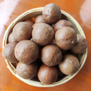Whole Raw Macadamia with Shell Uncracked