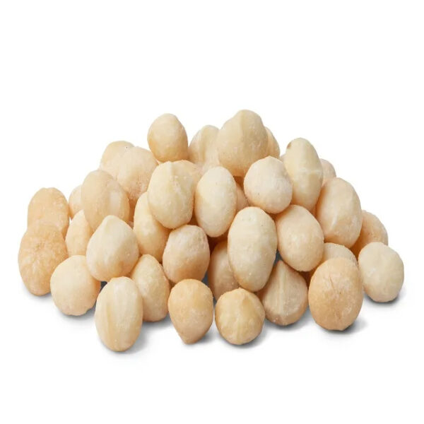 Best Price Organic Macadamia Nuts Roasted and Raw In-Shell Bulk for Food and Sacks Fast Shipping Wholesale Today
