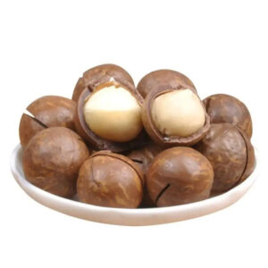 Wholesale Raw Healthy Food Dried Roasted Macadamia Da Lat Kernels Macadamia Nut From Factory for Export