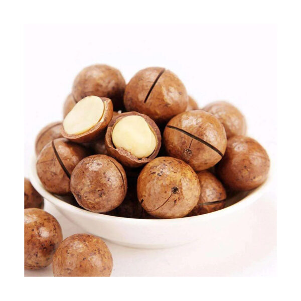 Best Quality Organic Macadamia Nuts in Shell Roasted and Raw Dried for Food Use
