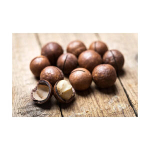 Bulk High Quality Macadamia/ Macadamia Nuts/roasted Macadamia