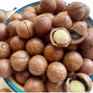Rich Nutrition Delicious Wholesale Prices of Macadamia Nuts for Sale Macadamia Nuts on Shell and off Shell