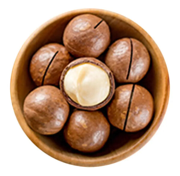 Raw Whole Shelled Macadamia Nuts Dried Style for Food Use - Image 2