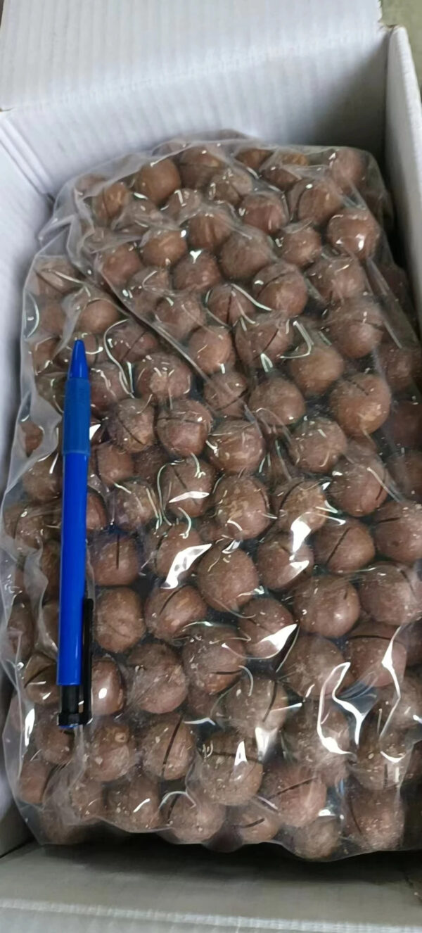 Macadamia Nut Snack for a Healthy and Delicious Treat - Image 2