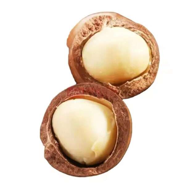 High Quality Macadamia Nuts Sweet Milky Flavor Nut Dried Fruit Wholesale Supply - Image 2